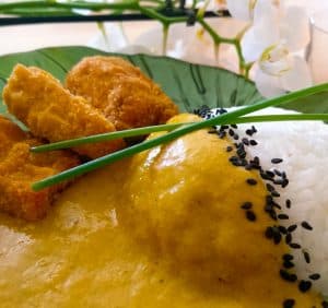 vegan katsu tofu curry