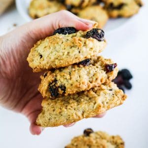 American Style Oat Cookies with Raisin and Cranberry