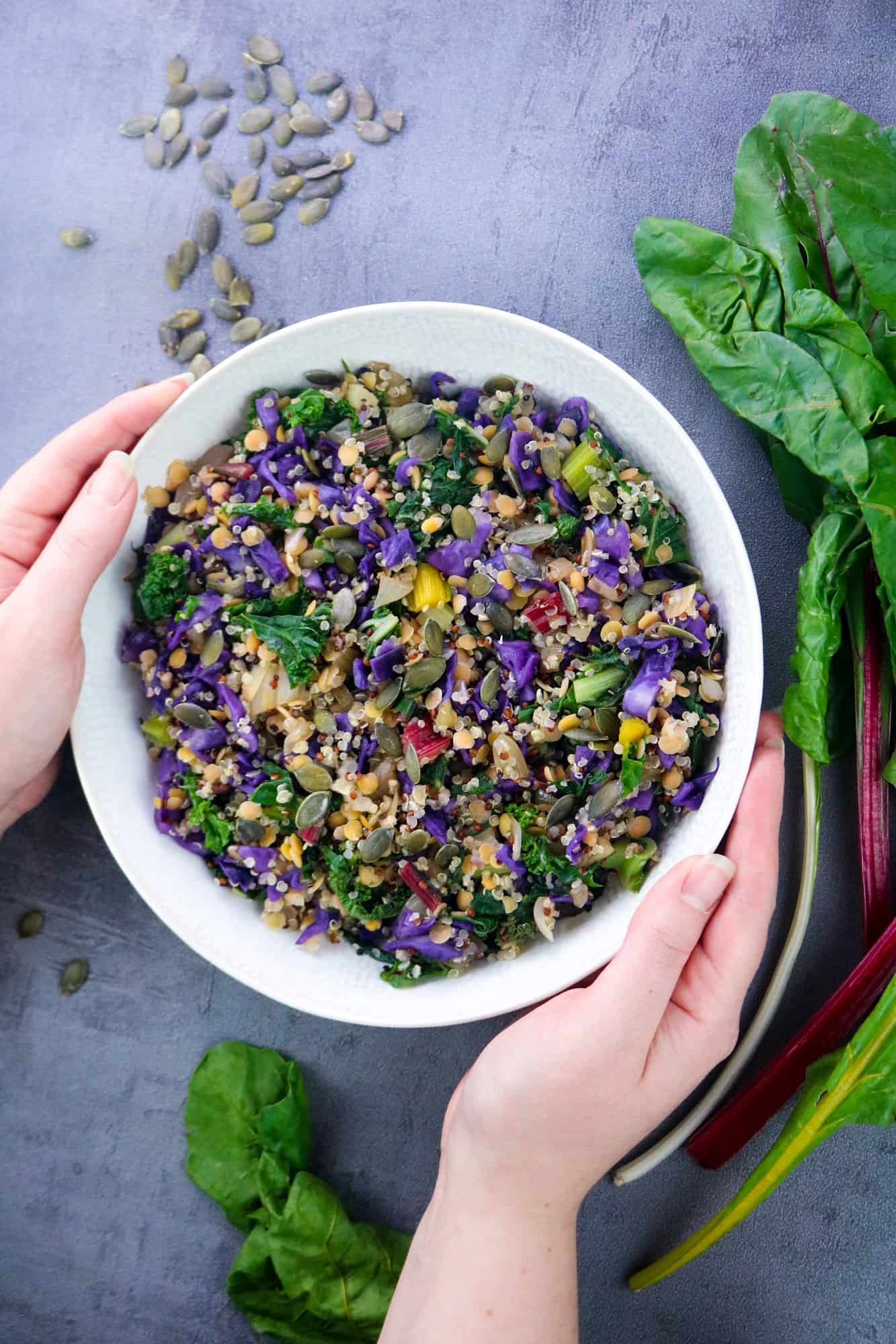 Colorful bowl with quinoa, red lentils, rainbow chards and vegetables on a white plate over a grey background both hands holding the bowl