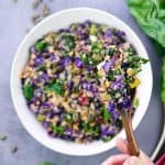 Colorful bowl with quinoa, red lentils, rainbow chards and vegetables on a white plate over a grey background focused on a wooden spoonful of the dish hold by right hand