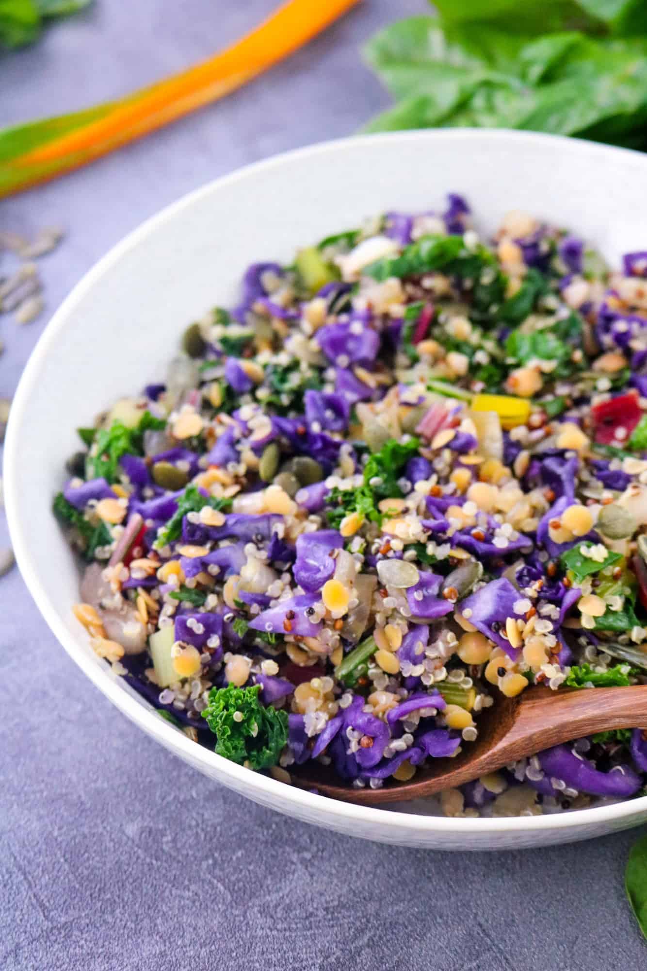 Colorful bowl with quinoa, red lentils, rainbow chards and vegetables on a white plate over a grey background with a spoonful of the dish