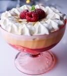 Vegan Raspberry Trifle