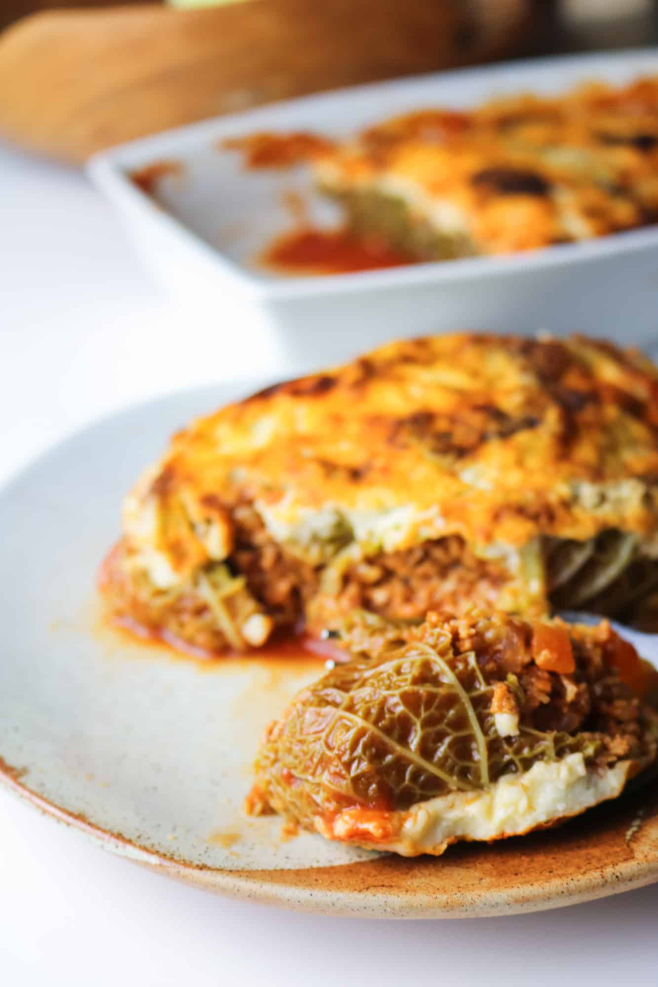 Mince Stuffed Vegan Cabbage Rolls fork focus