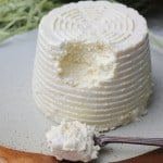 ricotta vegana fatta in casa dal sapore autentico