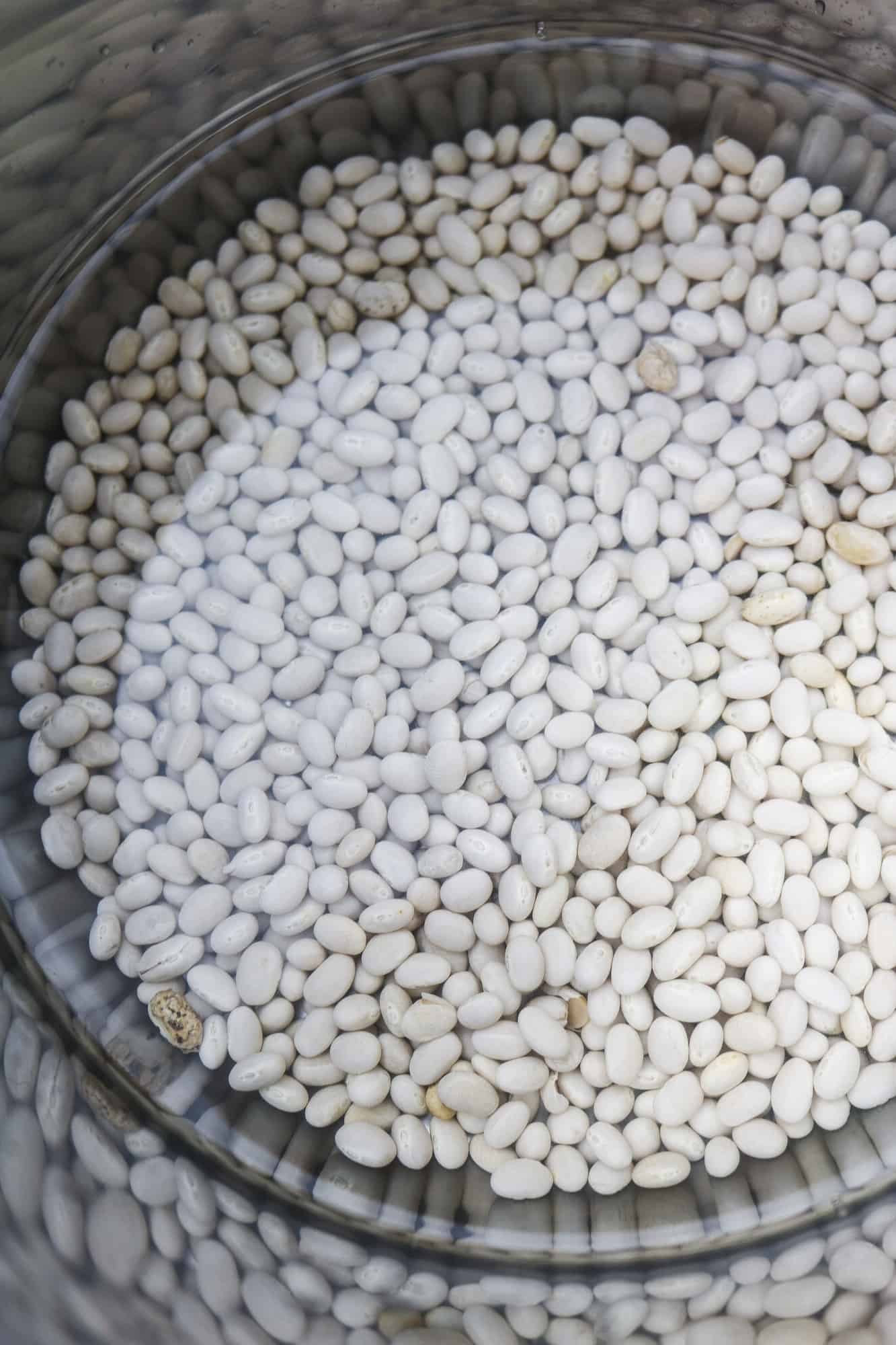 haricot beans in instant pot