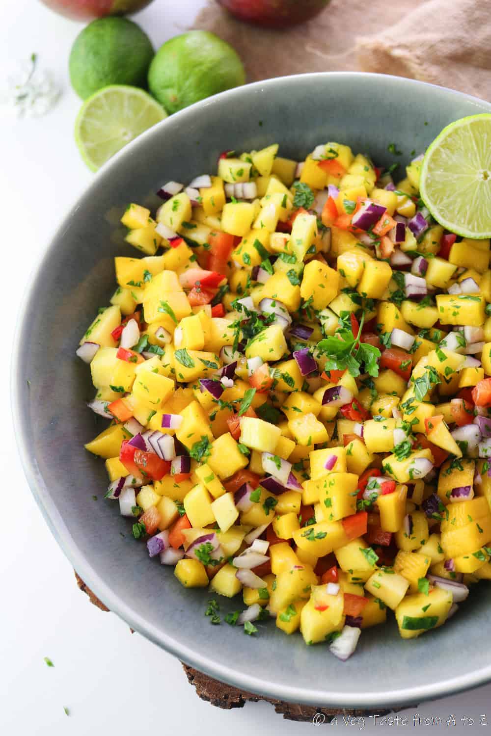 mango salsa in a grey deep plate close up