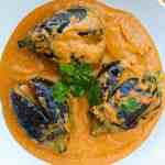 Bagara Baingan in a serving plate in bright orange gravy garnished with fresh coriander